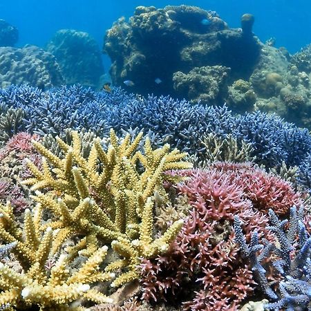 Alam Karang Hotel Gili Gede Eksteriør billede